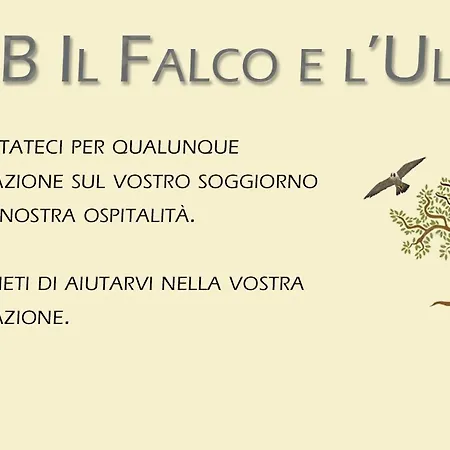 Il Falco E L'ulivo 3* Rocca Massima
