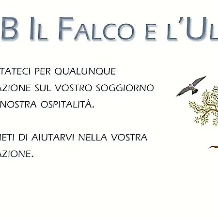 Il Falco E L'ulivo 3*